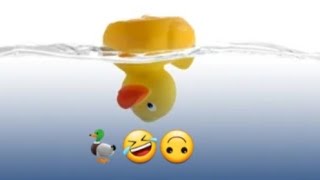 🙃🦆🤣(you funny duck)