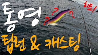 통영 무늬오징어 팁런 5천원짜리 에기로? #팁런 #무늬오징어 #루어낚시