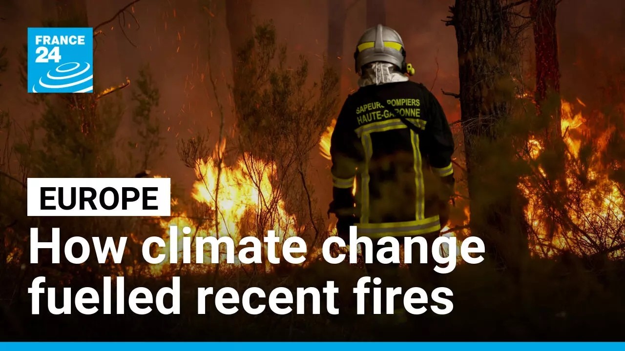 How did climate change fuel the wildfires ravaging Europe this summer? • FRANCE 24 English
