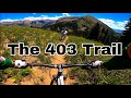 The 403 Trail - Crested Butte Colorado (The most beautiful trail I’ve ever ridden)