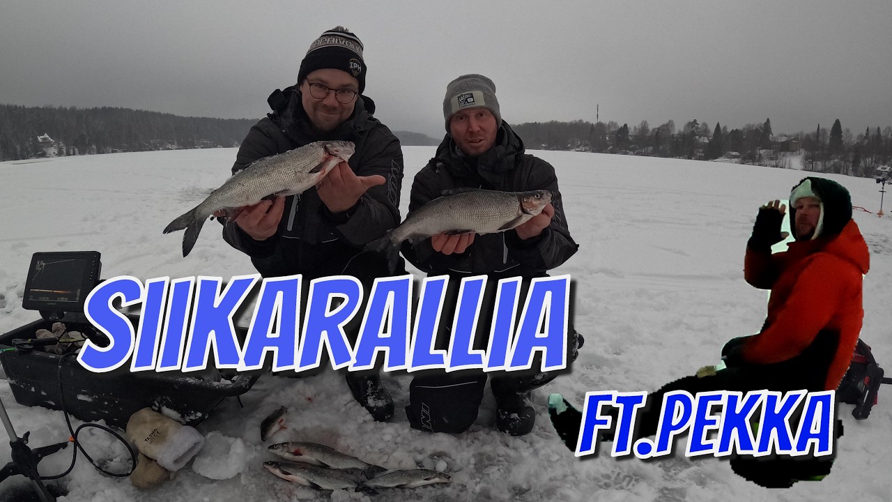 SIIKARALLIA RINTAMAAN KANSSA | #KALASSA 112