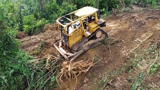 Perfect CAT D6R XL Dozer Working at another Level in Forest, Heavy Equipment Working Video by Bulldozer Mountain 6,749 views 13 days ago 18 minutes