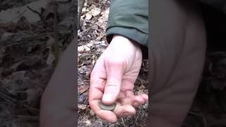Старинная монета из глубокой ямки,на поиске в лесу