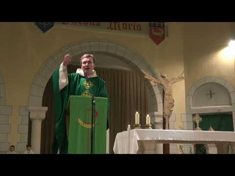 homélie-du-31e-dimanche-du-temps-ordinaire-par-le-f.-thibaut-du-pontavice-:-les-pharisiens