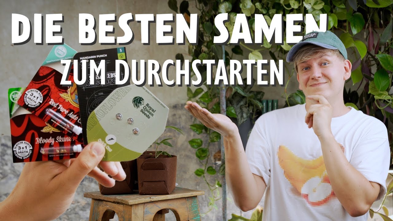 Cannabis-Neuling? 🥦 Mit DIESEN 10 Sorten startest du beim Anbau durch 🚀