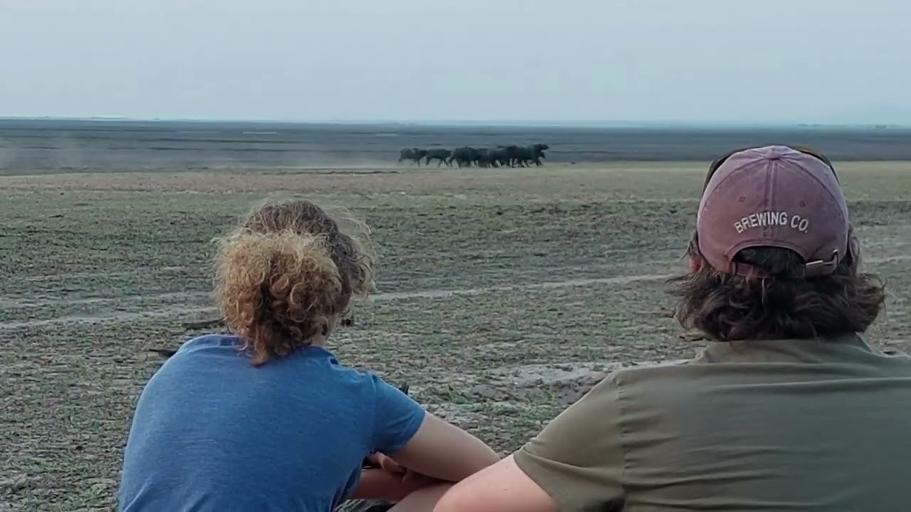 Katavi National Park