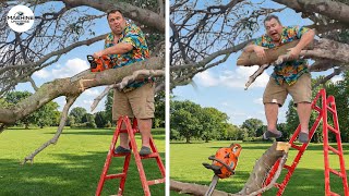 Idiots With Chainsaws: Tree Cutting Fails | Extreme Dangerous Logging Truck Fails #13