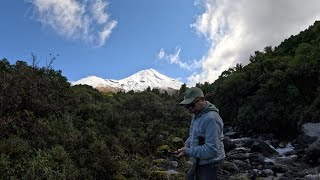 Wilkies Pool loop track, Te Papa-Kura-o-Taranaki