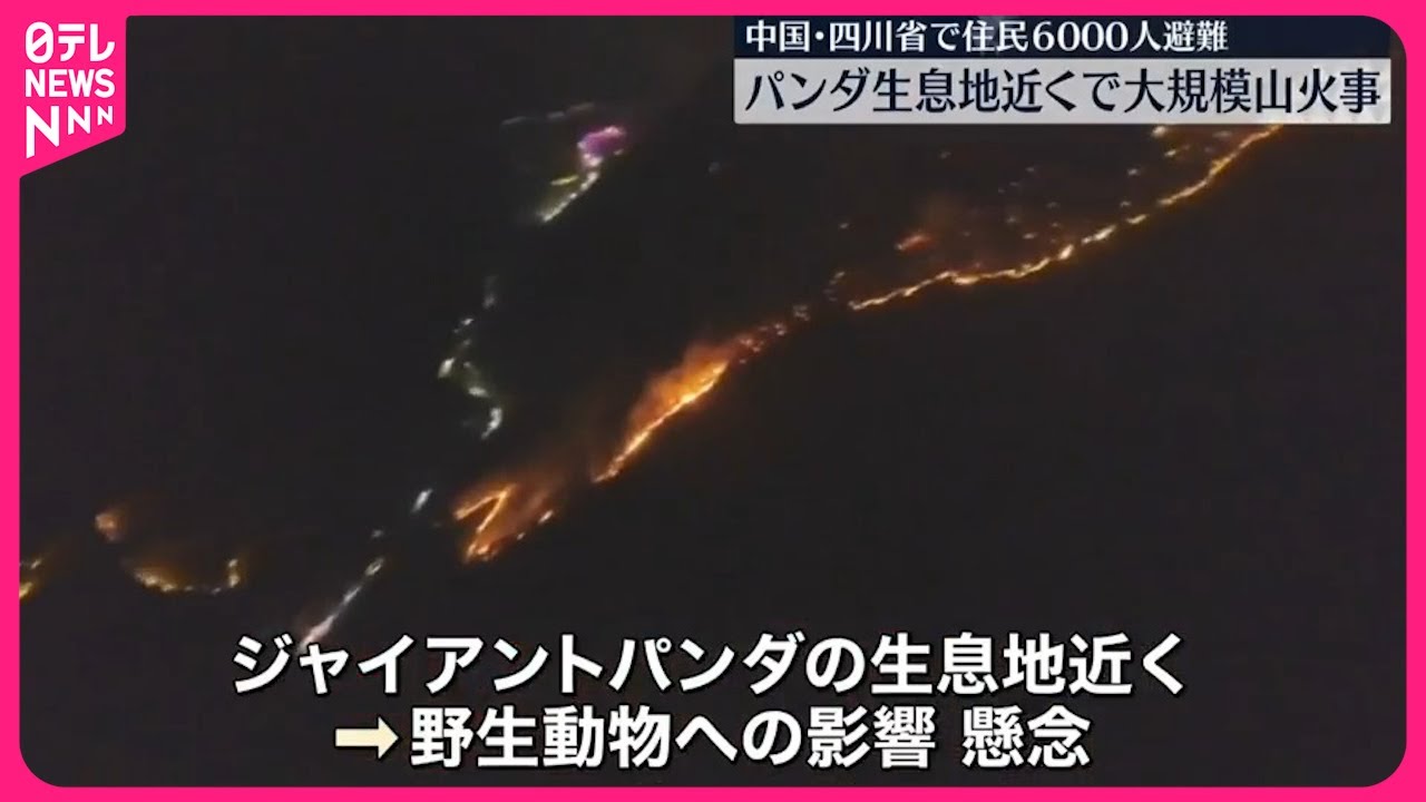 中国・四川省】パンダ生息地近くで大規模山火事、住民6000人が避難