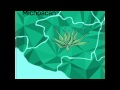 Para todo mal... mezcal