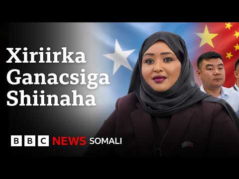 Shirka Xiriirinta Ganacsiga Soomaaliya iyo Shiinaha