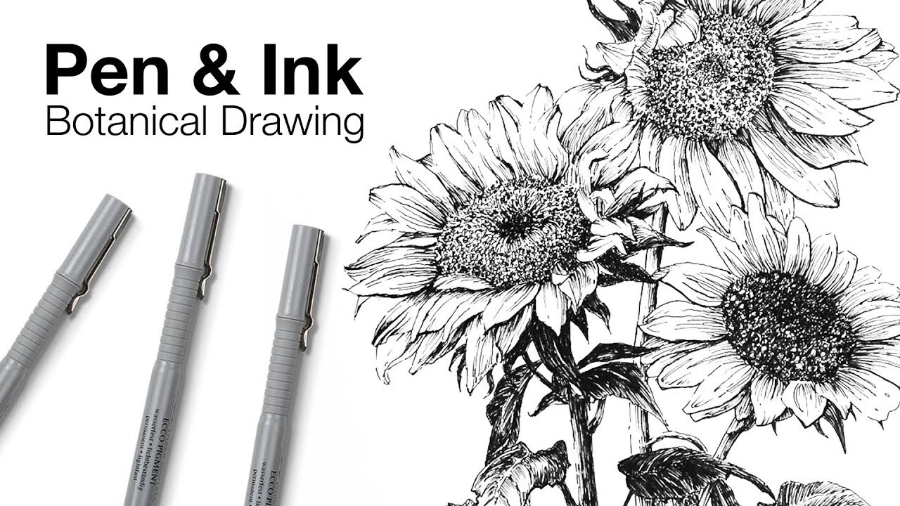 Ink Drawing Images