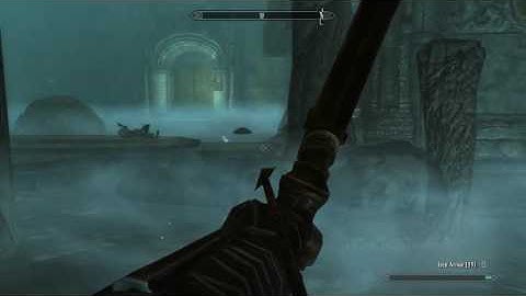 Weird Skyrim visual bug