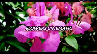 FLOWERS | Cinematic Video
