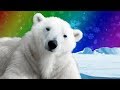 Polar Bears: The Arctic Giants