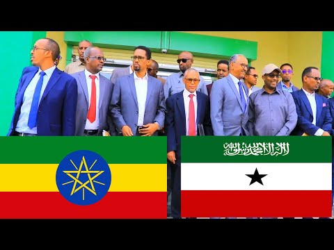 Wafdii Ka Socdaa Ehhopia Oo Soo Gaadhay Somaliland