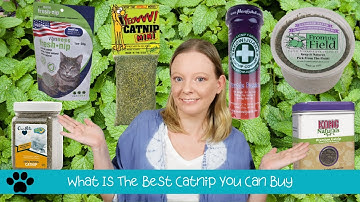 Catnip Review -  The Best Catnip You Can Buy  - Cat Tested