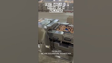 FIRST MINTAI X, Egg Farm Packer arrived in Malaysia!
