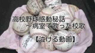 あっこと僕らが生きた夏 泣ける動画