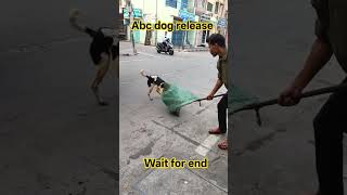 abc dog catching Tumkur city #pets #ytshorts #funny #doggielife #animals #pk Assamese boy