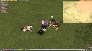 Mabinogi: Beating Down a Tree