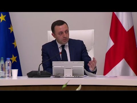 \"გაოცებულები მიყვებოდნენ ევროპელი კოლეგები, რაოდენ ანტისახელმწიფოებრივი კამპანიაა წამოწყებული\"