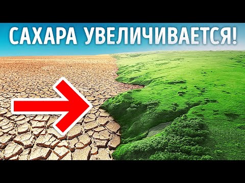 Сахара увеличивается и поглощает зеленые земли!