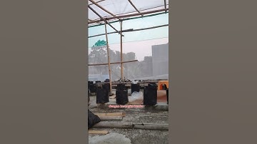 Thumbnail of GREEN HOUSE SEDERHANA DENGAN KERANGKA BAMBU