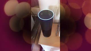 Amazon Alexa - Mine is useless, this is the replacement, and it's the same as the old one!