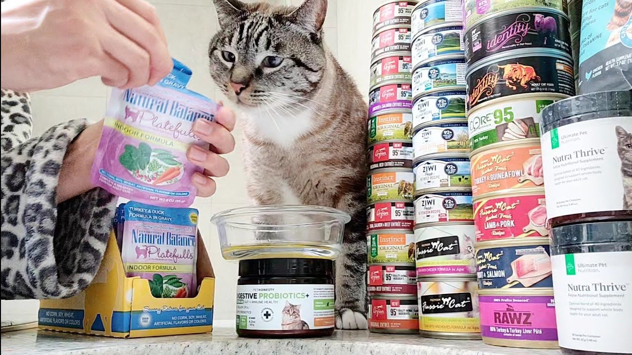 Natural Balance Platefulls Indoor Turkey and Duck Formula in Gravy Pouch Wet Cat Food Eating Review