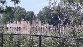 Lampe campground Erie PA review