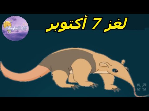 حل لغز الإثنين ٧ أكتوبر ٢٠٢٤ كلمات كراش