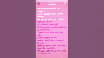 Shawn Mendes Camila Cabello Señorita Lyrics 