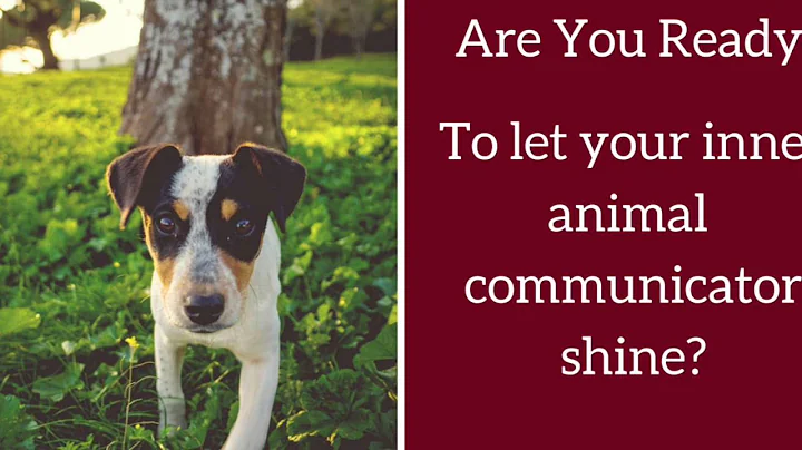 Learn Beginning Animal Communication with Janet Ro...