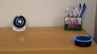 Amazon Echo Dot 2nd gen UK with Nest thermostat @surethom