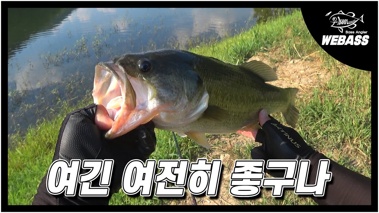 [배스낚시] 오랜만에 찾은 필드 과연 예전만큼 잘 나올까요? Ep.225