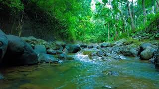 Cascading Waterfall Serenity – Calm Your Mind & Release Daily Stress