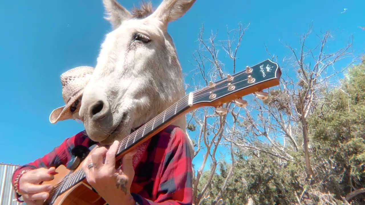 Hazel the donkey finally speaks