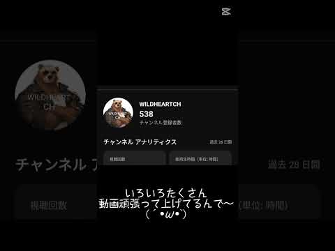 チャンネル登録お願いします🙇🙏
