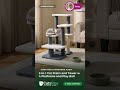 2-in-1 Cat Stairs and Tower with 4 Platforms and Play Ball — Expert Audit | CatsPlay