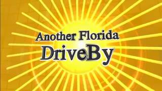 DriveBy Florida I 75 45ACP as a carry Gun Yes or N