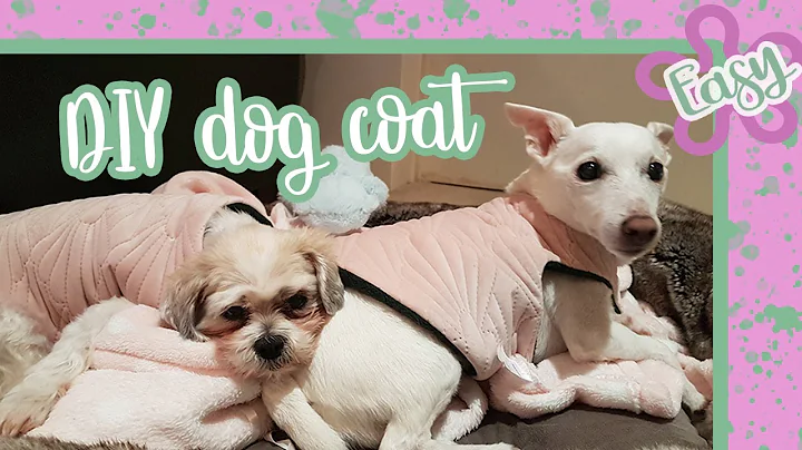 Easy DIY Dog Coat: Sew a Cozy Coat for Your Furry Friend in Just 30 Minutes!