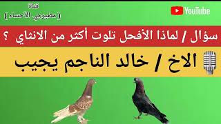 سؤال : علي صياح لخالد الناجم بخصوص لماذا الأفحل تلوت أكثر من الانثاي ؟