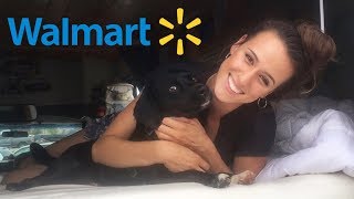 CAMPING AT WalMart | The Reality of Van Life
