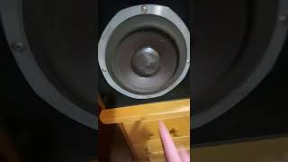 My Quick Review Of The Dahlquist Dqm-9