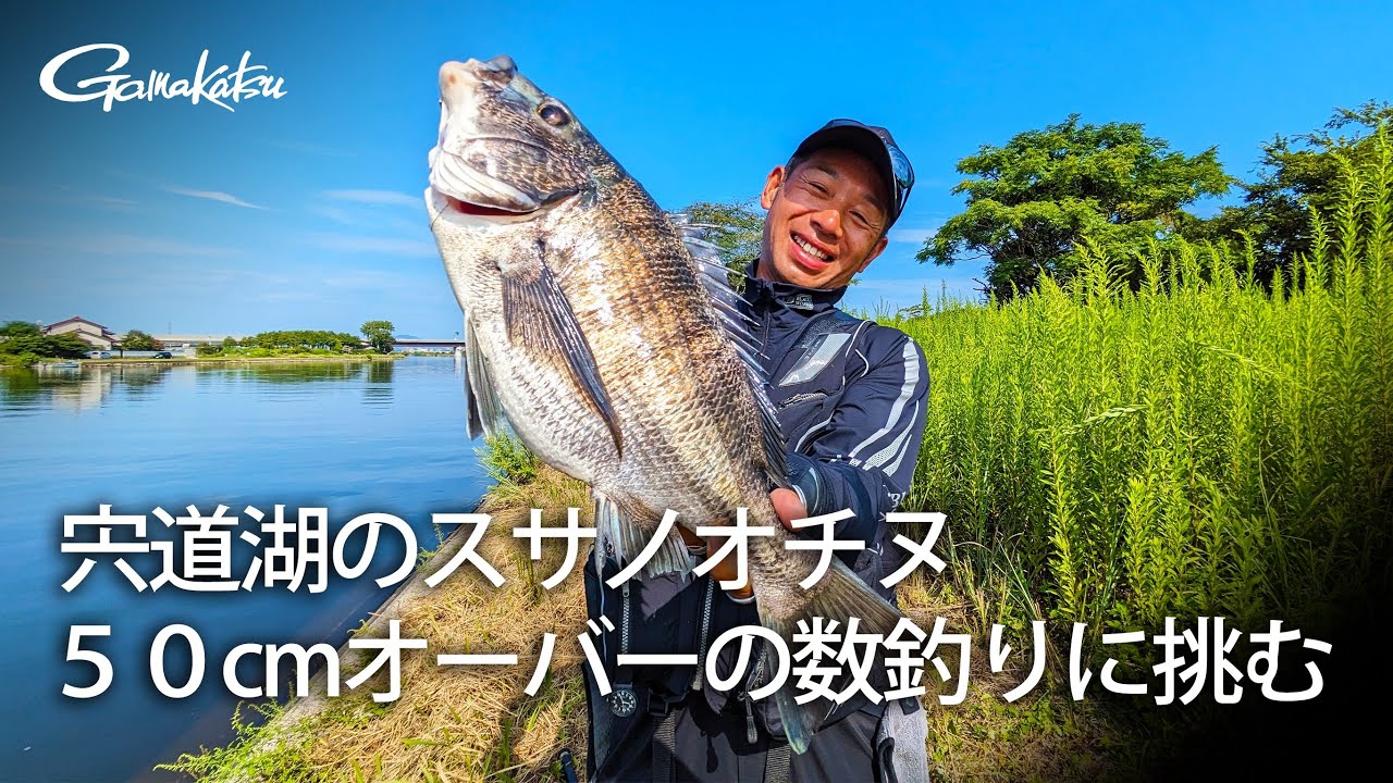 宍道湖のスサノオチヌ 50センチオーバーの数釣りに挑む！【フカセ釣り】【チヌ】【G WORLD #36】