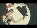 'When Spring Calls' by Trevor Moss & Hannah-Lou (OFFICIAL VIDEO)