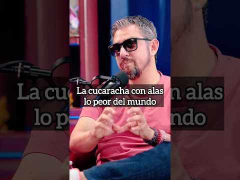 La cucaracha con alas, lo peor del mundo