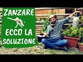 Eliminare le ZANZARE con la CO2: ecco come fare