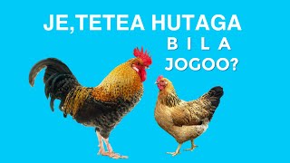 JE,TETEA HUTAGA BILA JOGOO?